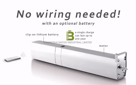 WiFi/Zigbee Curtain Motor Electric Remote Control Automated Curtain for Home