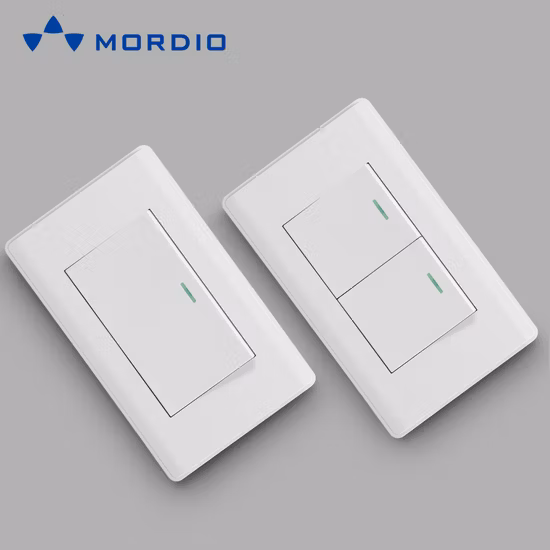 High Grade PC Materials Attractive Price 2 Gang American Socket