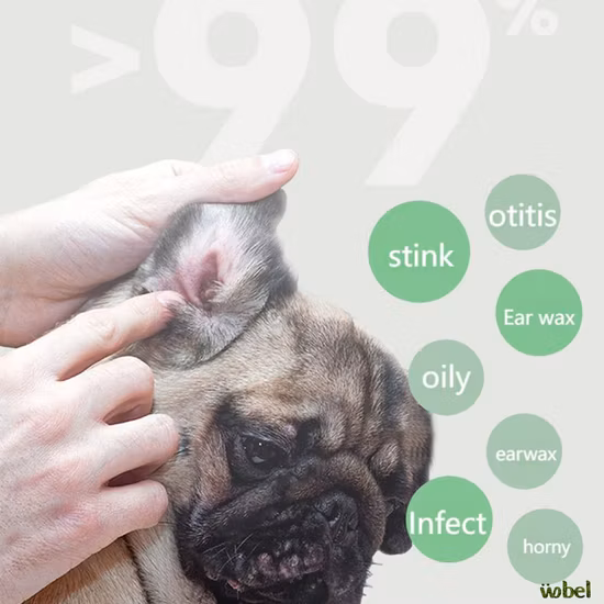 Waterproof Box Flush